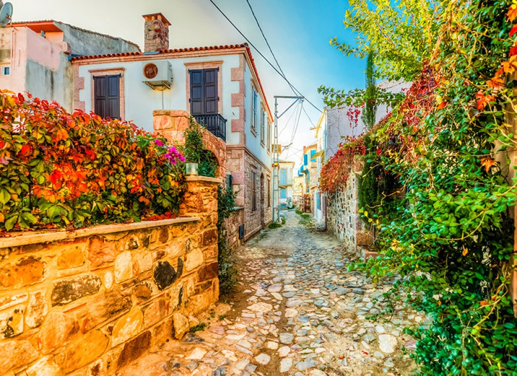 Kazdağları ve Cunda Adası Turu