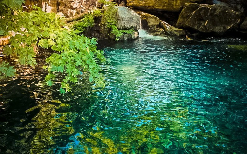 Kazdağları ve Cunda Adası Turu