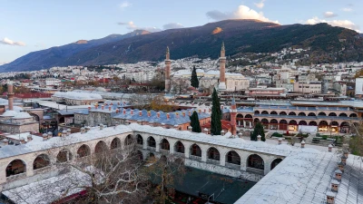 Bursa