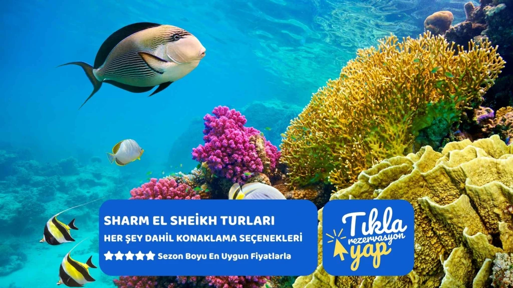 İstanbul  Yeni Havalimanı Kalkışlı THY ile 4 Gece 5 Gün  Kızıldeniz Rüyası; Prestij Sharm El Sheikh Turu  (367) (TK700)