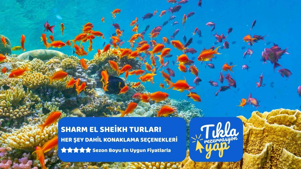İstanbul Havalimanından Kalkışlı THY ile 5 Gece İstanbul'dan Kızıldeniz Rüyası; Prestij Sharm El Sheikh Turu (369)