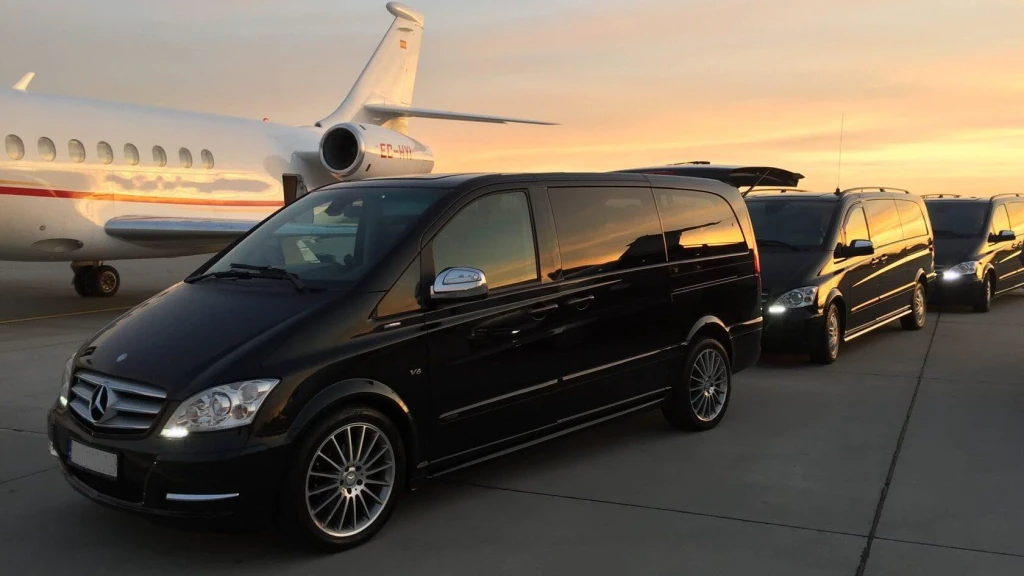 SABIHA GOKCEN AIRPORT (SAW) TO SULTANAHMET HOTELS PRIVATE VITO TRANSFER
