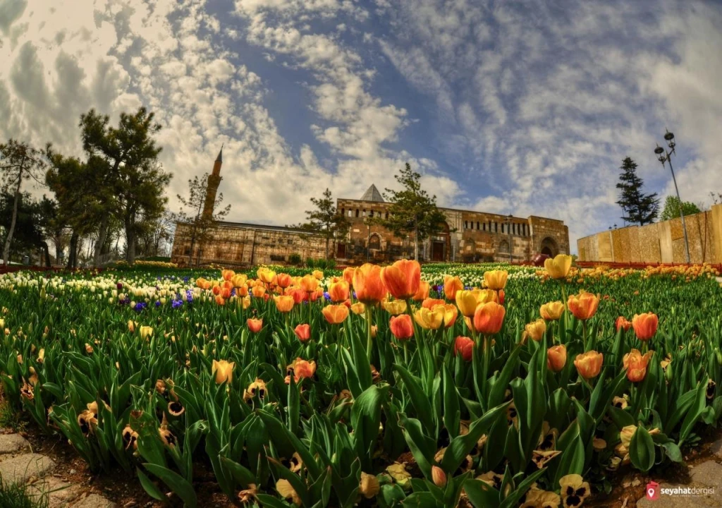 Konya Mevlana Günübirlik Turu