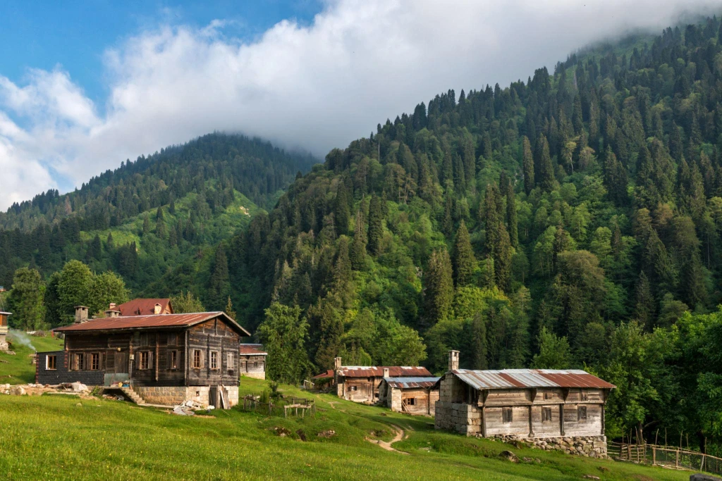 Karadeniz Turu | Yaylalar, Uzungöl ve Batum Gezisi 2026