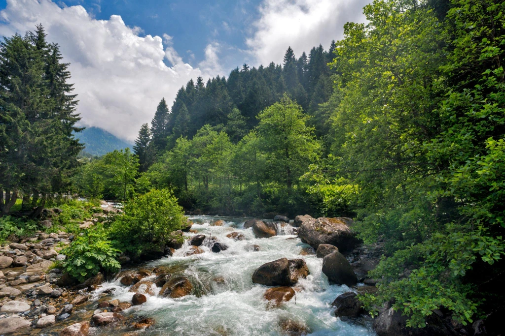 Karadeniz Turu | Yaylalar, Uzungöl ve Batum Gezisi 2026