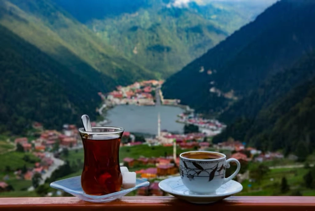 Bursa Çıkışlı - Karadeniz ve Batum Turu
