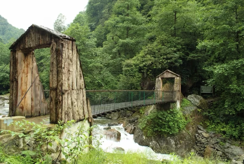 Bursa Çıkışlı - Karadeniz ve Batum Turu