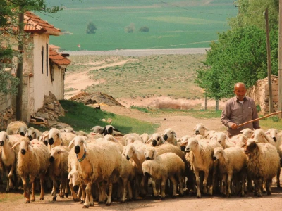 5-Day Munzur Valley and Ziyaret Village Tour from Istanbul