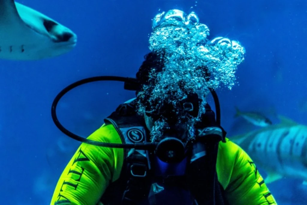 Kas: Scuba Diving Experience & Underwater Wonders