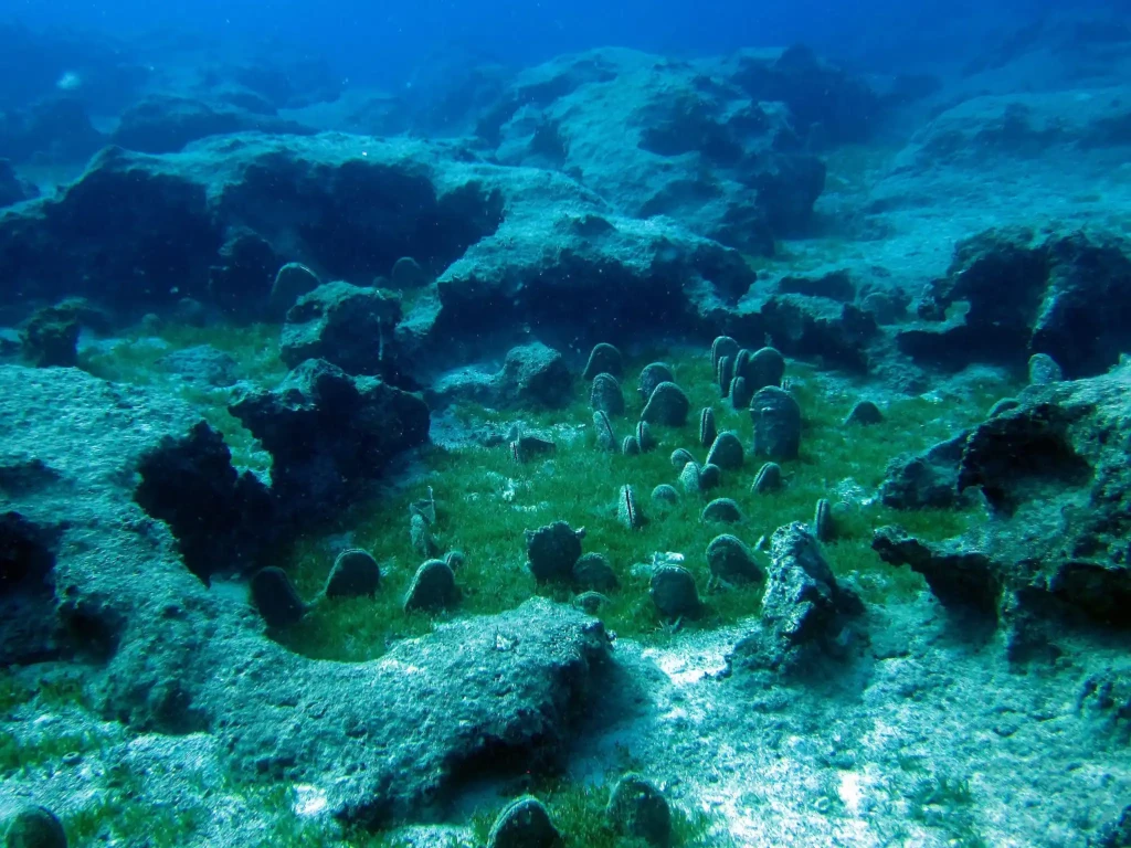 Kas: Scuba Diving Experience & Underwater Wonders