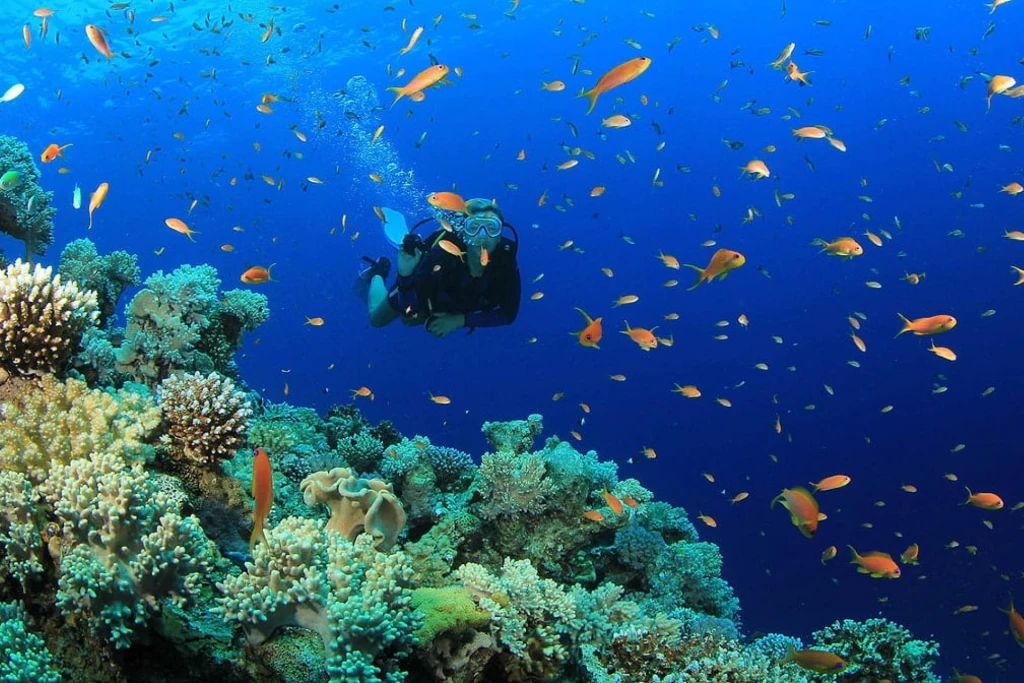 Kas: Scuba Diving Experience & Underwater Wonders