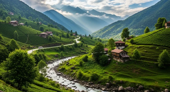 Orta ve Doğu Karadeniz Turu (2 Gece 3 Gün)