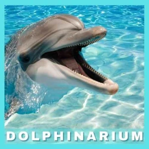 İstanbul Dolphinarium