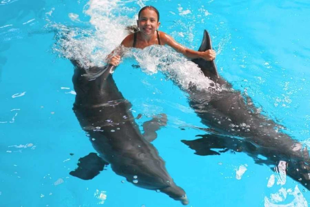 İstanbul Dolphinarium
