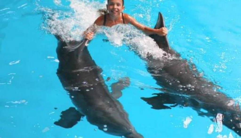 İstanbul Dolphinarium