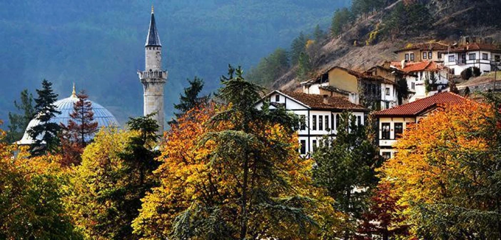 Günübirlik Taraklı Göynük Turu
