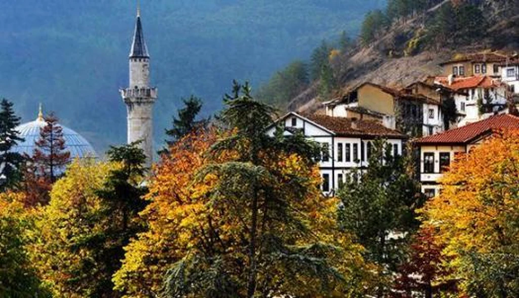Günübirlik Taraklı Göynük Turu