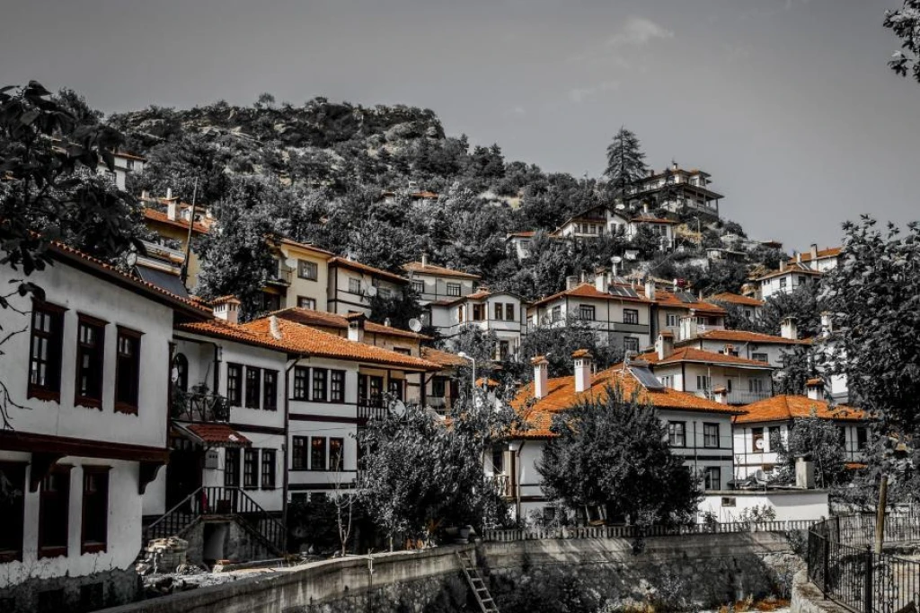Günübirlik Taraklı Göynük Turu