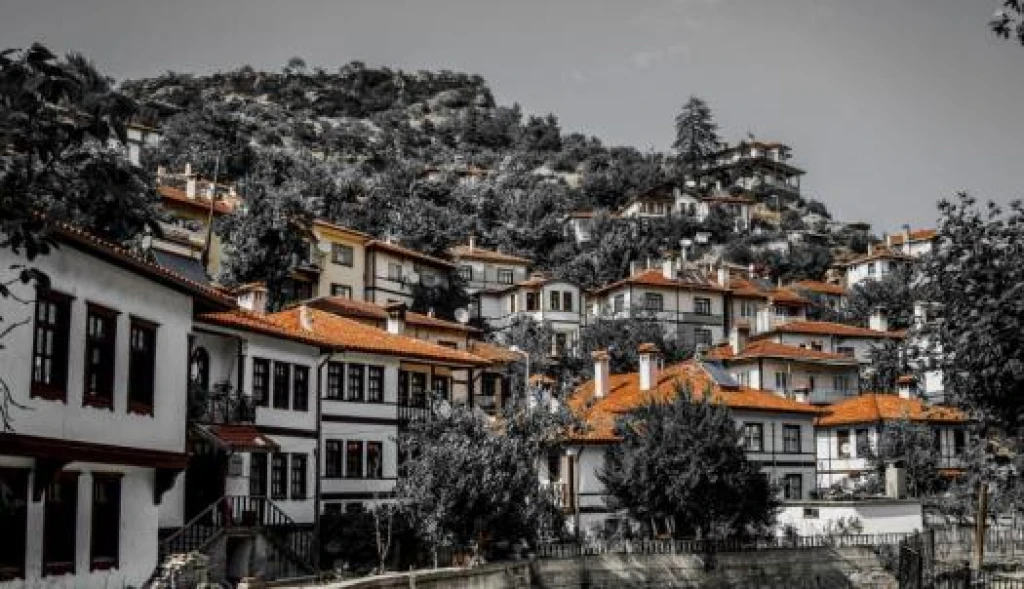 Günübirlik Taraklı Göynük Turu