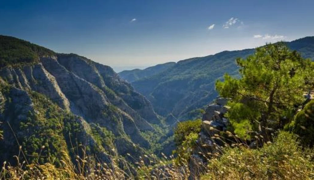 Kazdağları Assos Ayvalık Cunda Turu 1 Gece Konaklamalı