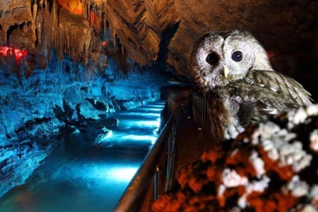 Kastamonu Kanyonlar Safranbolu Zonguldak Turu | 1 Gece Konaklamalı