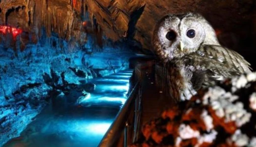 Kastamonu Kanyonlar Safranbolu Zonguldak Turu | 1 Gece Konaklamalı