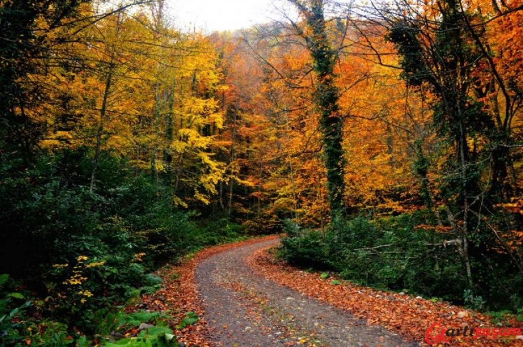 Kastamonu Kanyonlar Safranbolu Zonguldak Turu | 1 Gece Konaklamalı