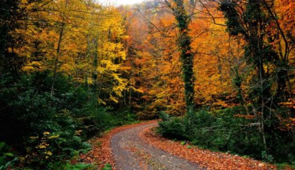 Kastamonu Kanyonlar Safranbolu Zonguldak Turu | 1 Gece Konaklamalı