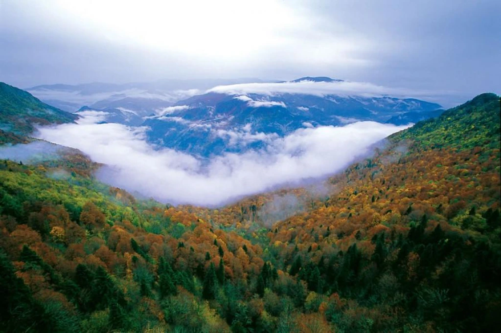 Kastamonu Kanyonlar Safranbolu Zonguldak Turu | 1 Gece Konaklamalı