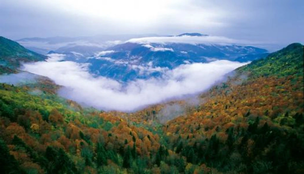 Kastamonu Kanyonlar Safranbolu Zonguldak Turu | 1 Gece Konaklamalı