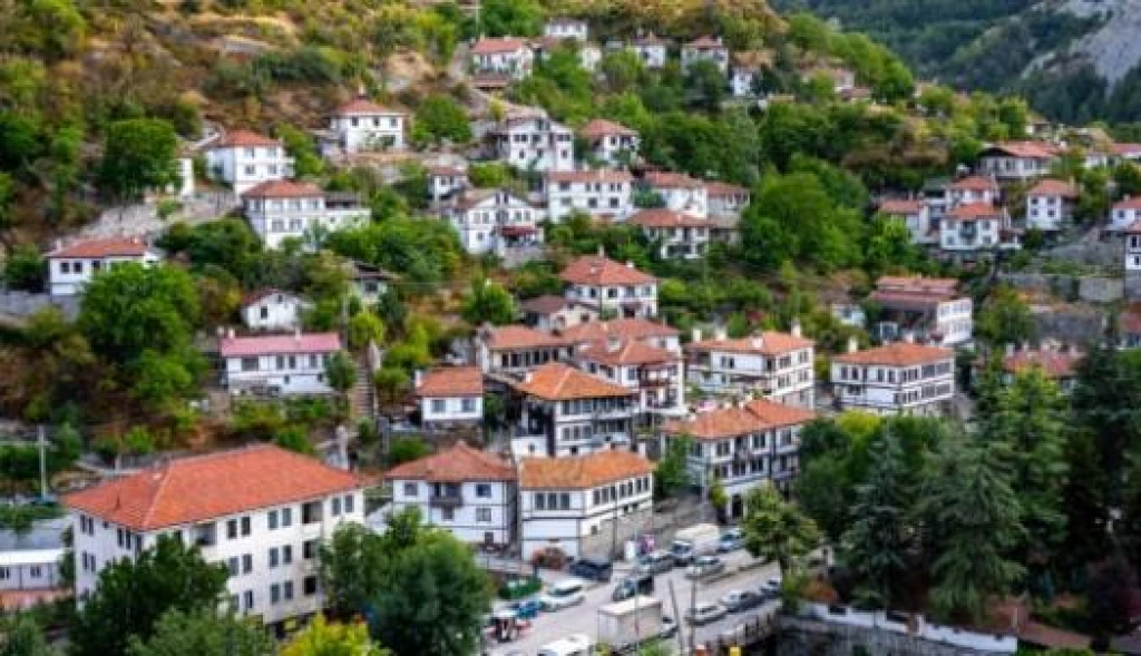 Bozcaada Bağ Bozumu Festivali Turu | 1 Gece Konaklamalı