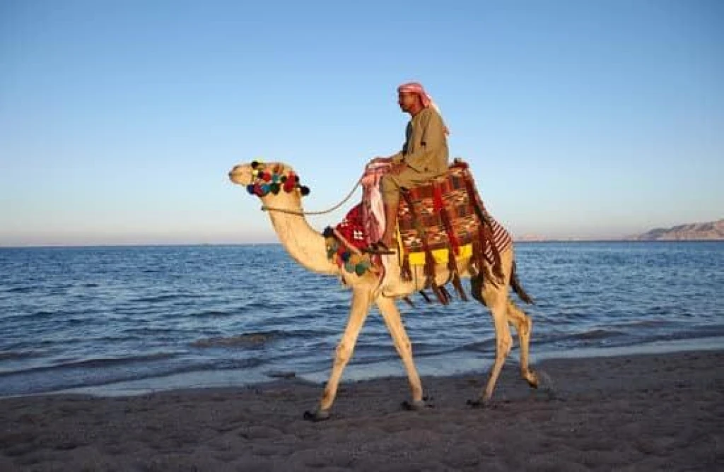 Baştanbaşa Mısır Turları Hurgada Kahire Sharm Ajet ile 7 Gece 8 Gün