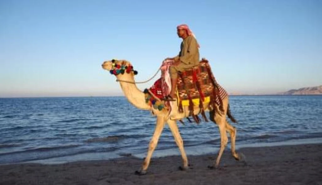 Baştanbaşa Mısır Turları Hurgada Kahire Sharm Ajet ile 7 Gece 8 Gün