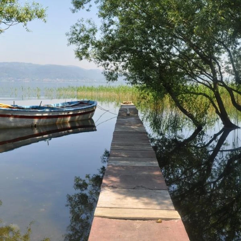Günübirlik Doğa ile Baş Başa Yuvacık & Sopelipark Sapanca Gölü Turu