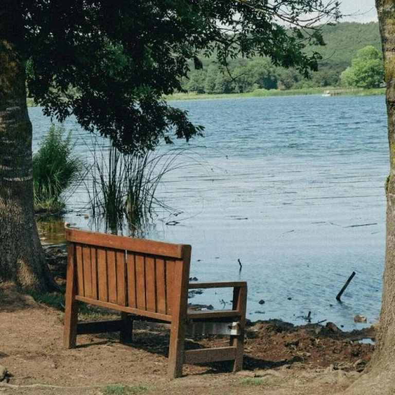 Günübirlik Doğa ile Baş Başa Yuvacık & Sopelipark Sapanca Gölü Turu