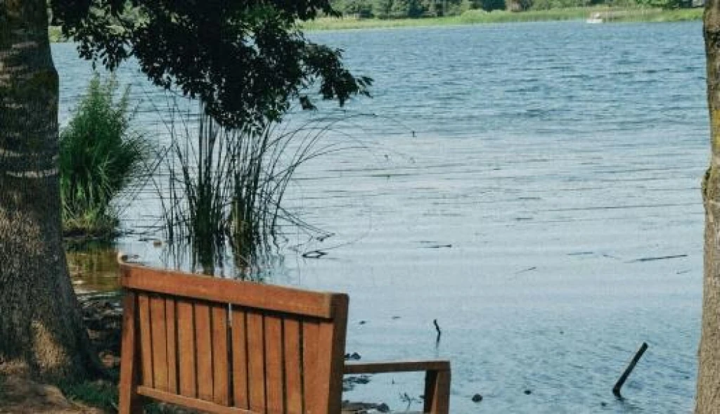 Günübirlik Doğa ile Baş Başa Yuvacık & Sopelipark Sapanca Gölü Turu