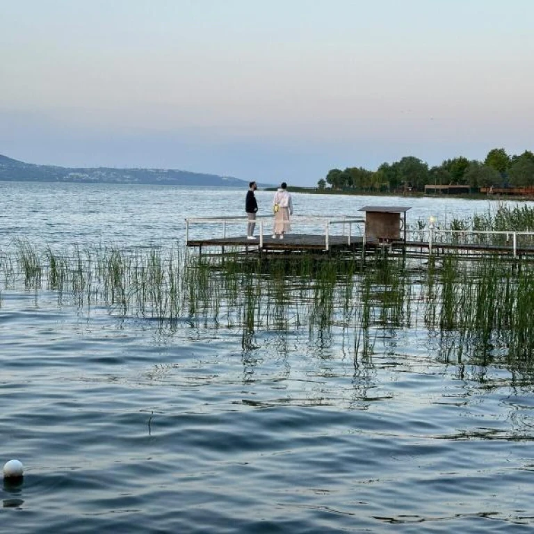 Günübirlik Doğa ile Baş Başa Yuvacık & Sopelipark Sapanca Gölü Turu