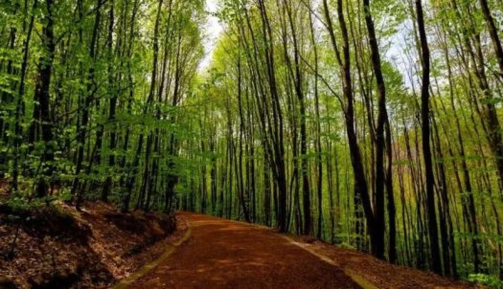 Şile – Ağva – Saklıgöl Turu Doğanın Kalbine Günübirlik Yolculuk