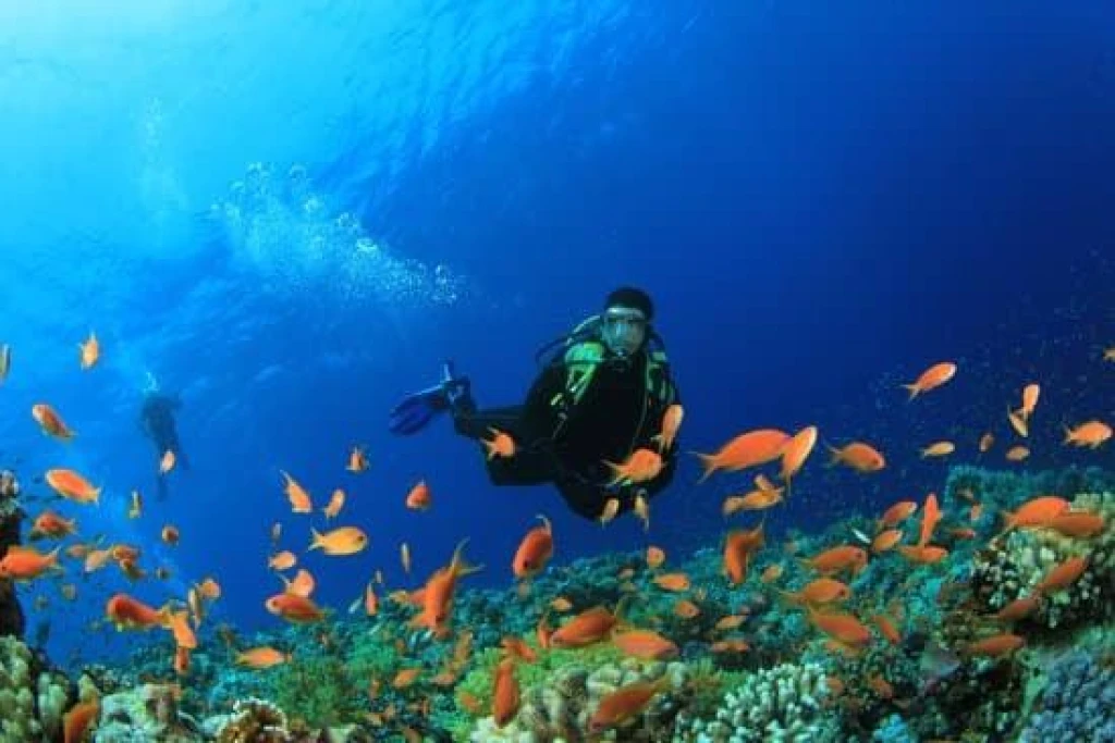 SHARM EL SHEIKH & KAHİRE TURU ÜST DÜZEY BİR DENEYİM