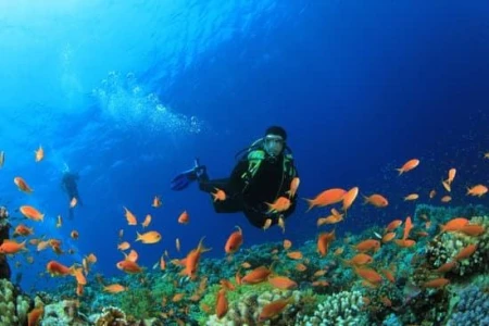 SHARM EL SHEIKH & KAHİRE TURU ÜST DÜZEY BİR DENEYİM