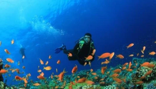 SHARM EL SHEIKH & KAHİRE TURU ÜST DÜZEY BİR DENEYİM