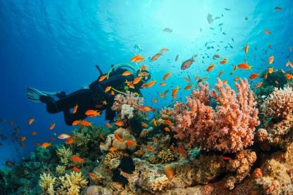 SHARM EL SHEIKH & KAHİRE TURU ÜST DÜZEY BİR DENEYİM