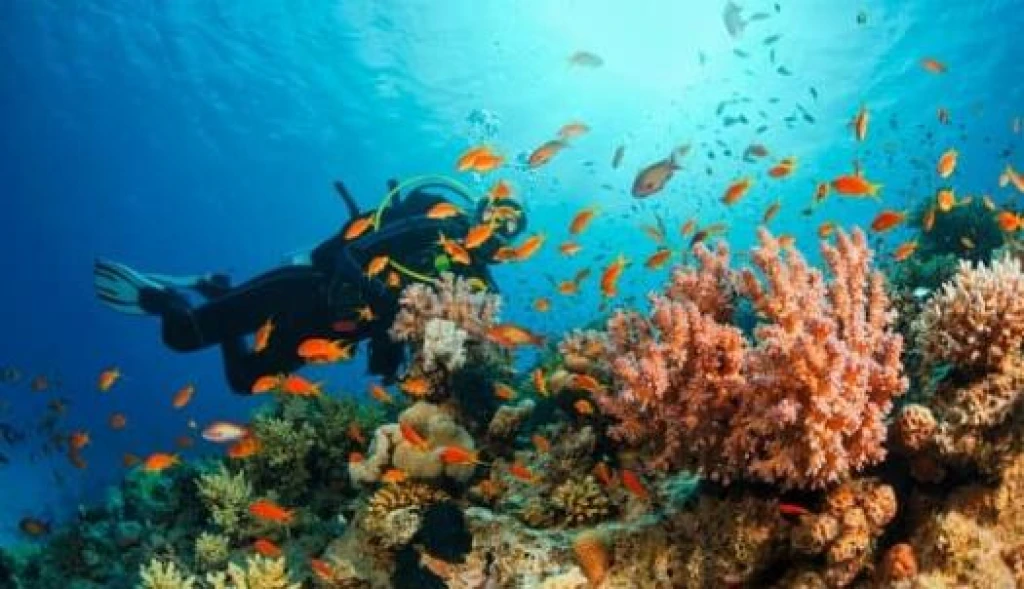 SHARM EL SHEIKH & KAHİRE TURU ÜST DÜZEY BİR DENEYİM