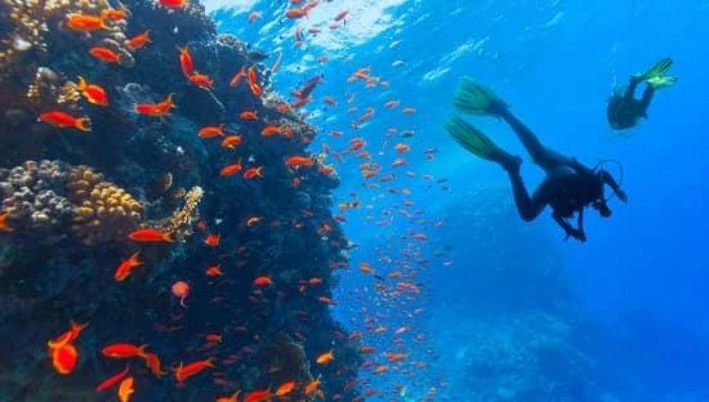 SHARM EL SHEIKH & KAHİRE TURU ÜST DÜZEY BİR DENEYİM