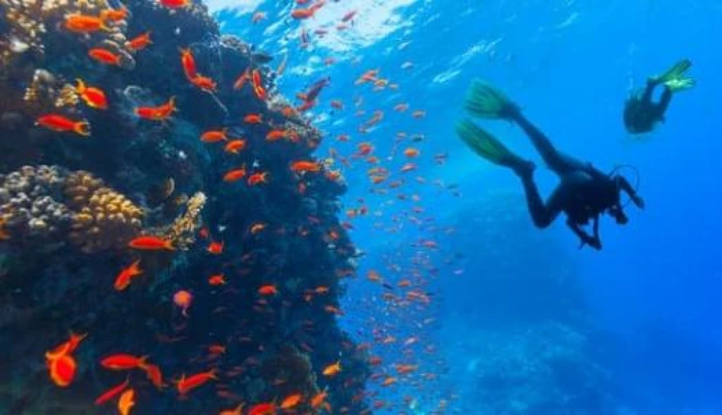 SHARM EL SHEIKH & KAHİRE TURU ÜST DÜZEY BİR DENEYİM