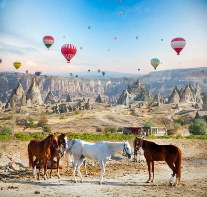 1 Gece Bloom Taş Otel konaklamalı Kapadokya Turu