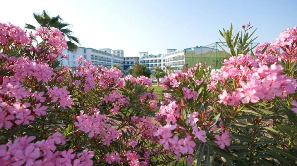 Rizom Beach Hotel