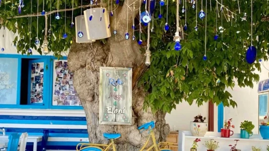 Yüzme Molalı Gökçeada Bozcaada Turu 1 Gece Otel Konaklamalı
