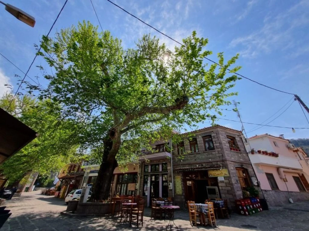 İzmir Hareket Midilli Turu Kapı Vizesi İmkanı Molivos Konaklama Farklı ile