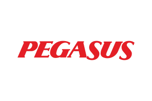 Pegasus Havayolları
